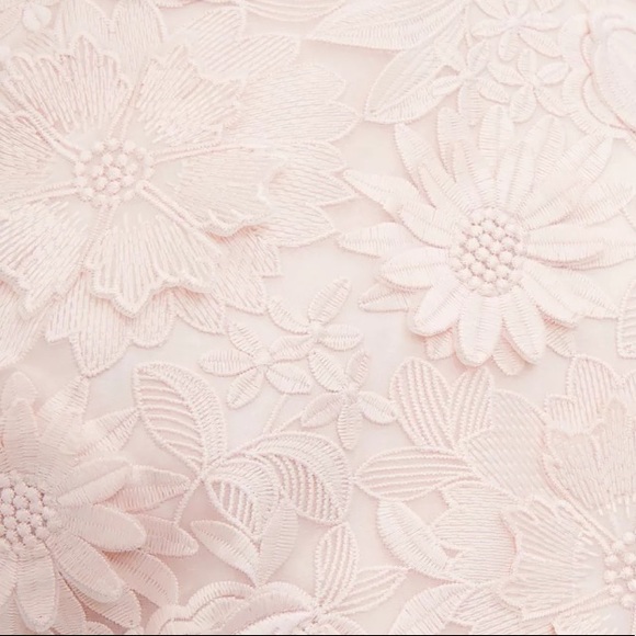 Ted Baker Soft Pink Floral Lace Skater Dress - Picture 5 of 8